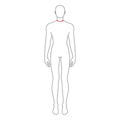 Men to do neck size measurement fashion Illustration for size chart. 7.5 head size boy for site or online shop. Human body infographic template for clothes. 