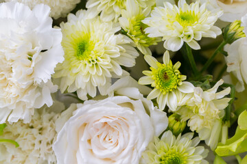 roses and white chrysanthemum fresh flower