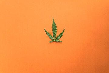 green cannabis leaf on orange background