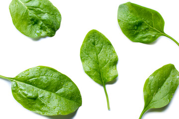 Fresh spinach leaves isolated on white background.