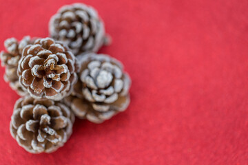 Dried pine balls on red gliter