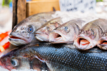Fresh sea bass fish only caught and cleaned. Put in rows for sale at the weekend fair, market, fish store. Sale of unfrozen seafood. Natural food for a healthy lifestyle