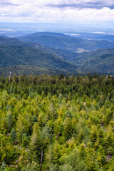 Panorama sur la Forêt Noire, vue du haut d'une tour de contrôle.