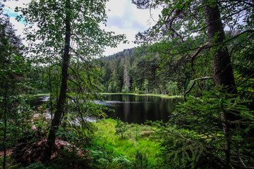 Magnifique lac en plein cœur de la Forêt Noire, en Allemagne.