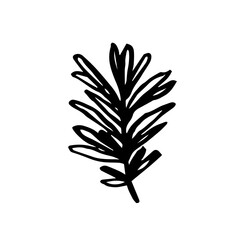 Herbs. Ink plant. Black color. Vector illustration isolated on white background. Little branch. 