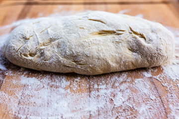 Homemade freshly made yeast dough.