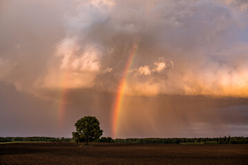 Late evening rain cloud with rainbow