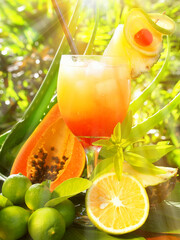 Tequila Sunrise Cocktail on tropical Background