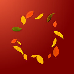 Falling autumn leaves. Red, yellow, green, brown c