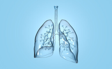 Human lungs with alveolus, medically 3D illustration