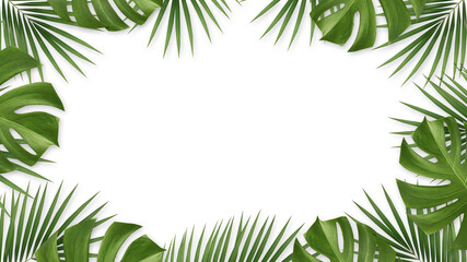 Palm leaves and monstera leaves on a white background. and a copy space with flat lay style. 3D illustration