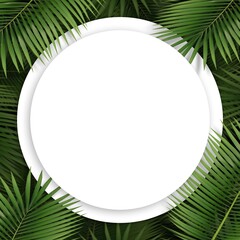 The circle copy space and palm leaves. Create with Tropical plant concept with flat lay style. 3D illustration