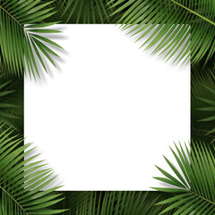 White copy space and palm leaves. Create with Tropical plant concept with flat lay style. Workspace for card and advertise on social media. 3D illustration