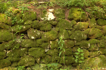 Vecchio muro in pietra di epoca medioevale.