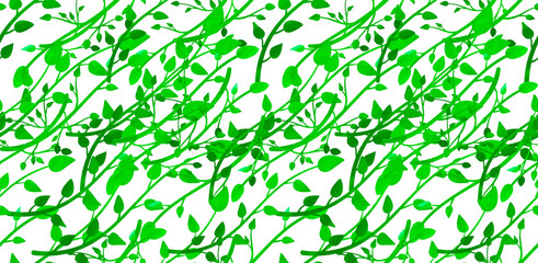 Vector seamless pattern, watecolor painted abstract plants, colorful green leaves on white background, graphic, backdrop template.