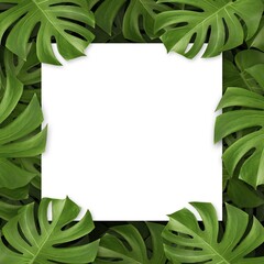 White copy space and monstera leaves. Create with Tropical plant concept. Workspace for card and advertise on social media. 3D illustration