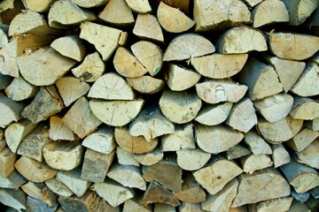 Brennholz für den nächsten Winter