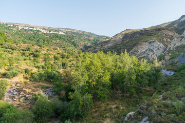 Fototapeta na wymiar Village on the mountainside