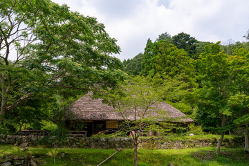 Fototapeta na wymiar A traditional thatched roof Japanese house in Japan