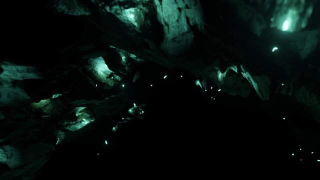 Waitomo Glowworm Caves, Waikato, in pristine secret cave in New Zealand.