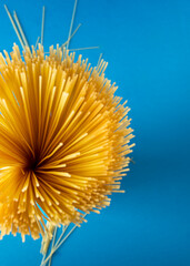 Raw Spaghetti bunch on blue background with copy space.
