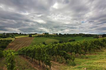 Colline coltivate a vigneti sotto un cielo minaccioso e temporalesco di una calda giornata d’estate