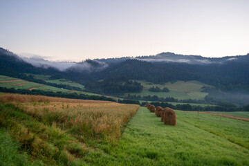 świt w Pieninach, Sromowce Wyżne © Piotr Szpakowski