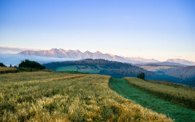 Krajobraz Pienin w oddali widoczne Tatry. Wczesny letni poranek w Pieninach