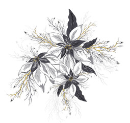 flower of poinsettia,  leaves isolated on white background. realistic hand-drawn doodles. modern symbol of winter flowers (poinsettia) in dark gold tones. item for exotic Wallpaper, paper,  advertisin
