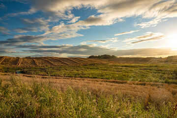 Fototapeta na wymiar Rural scenery of countryside field in soft light