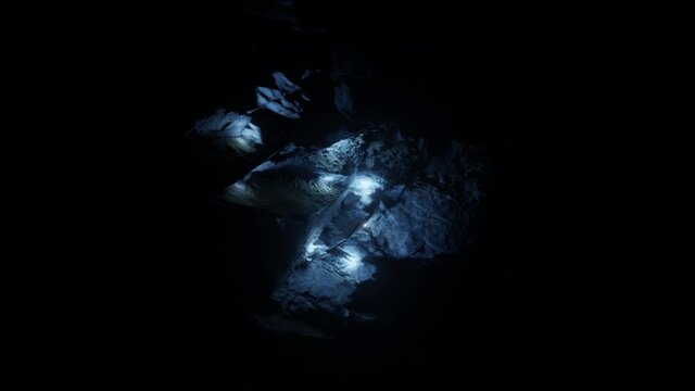 Waitomo Glowworm Caves, Waikato, in pristine secret cave in New Zealand.