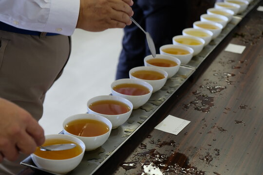 The tea tasting process in the lab. Grading from the colour, texture, aroma and also the taste of the tea.