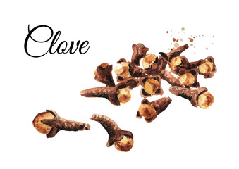 Dried Cloves heap. Hand drawn watercolor illustration, isolated on white background