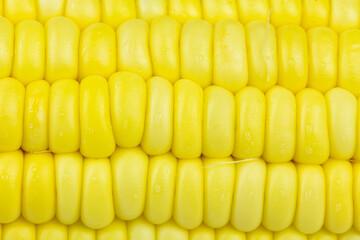 Close up texture and background of fresh sweet corns seed.