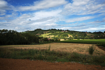 Fototapeta na wymiar Paesaggio collinare con vigneti e campi coltivati in una giornata estiva
