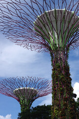 Arbres artificielles dans les Gardens by the bay, Singapour 