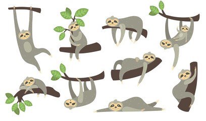 Cute sleepy sloth on branch flat icon set. Cartoon character of little sloth hanging, sleeping, lying or playing with baby isolated vector illustration collection. Animal and zoo concept © SurfupVector