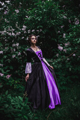 Fototapeta premium Lady in black and purple baroque dress