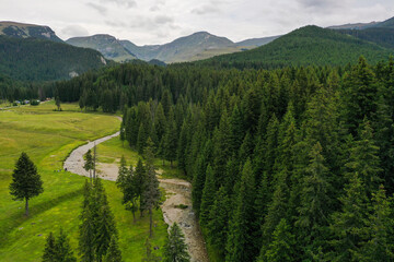Fototapeta na wymiar Drone photograph over a mountain river and a pine tree forest in Bucegi Mountains, Romania.