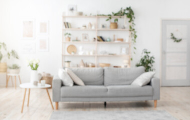 Blurred Stylish Living Room Interior Background With Sofa, Shelves And Coffee Table