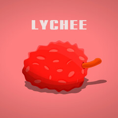 Lychee single vector illustration.