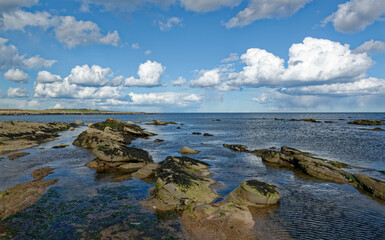 Looking over the rocks at East Haven Beach at low tide on a Sunny April afternoon, with white Clouds in the Blue sky.