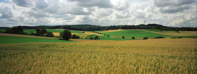Landscape of German farmland and countryside in Baden Wurttemberg, Germany.