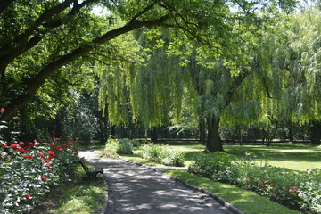 Skrzyżowanie dr&oacute;g w ogrodzie