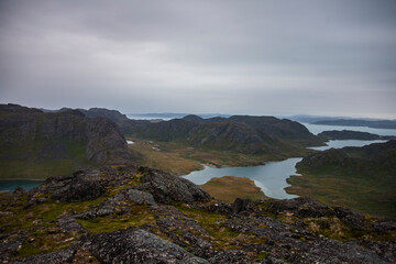 Summer landscape in the fiords of Narsaq, South West Greenland