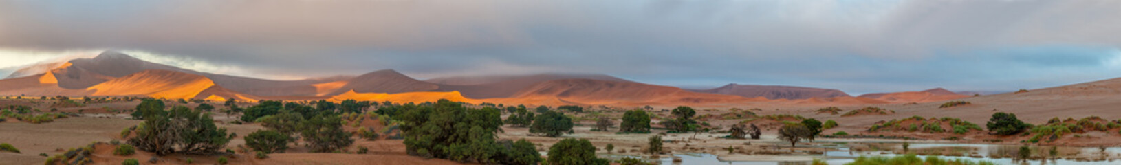 Panoramic view from Sossusvlei towards Deadvlei