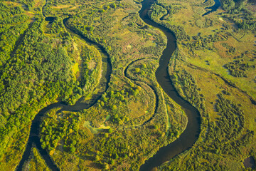 Aerial View Green Forest Woods And River Landscape In Sunny Summer Day. Top View Of Beautiful European Nature From High Attitude In Summer Season. Drone View. Bird's Eye View