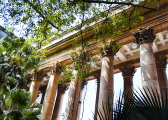 Bottom-up view of the neoclassical columns inside of Havana University, surrounded by vegetation.