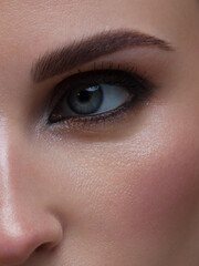 Obraz premium Closeup female eyes with bright make-up, great shapes brows, extreme long eyelashes. Celebrate makeup, luxury eyeshadows. Macro of beautiful eye. Good vision