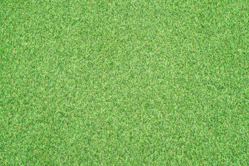 green grass background